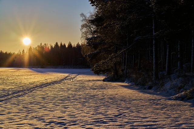 Viltrox 85mm f2 EVO_28w.jpg