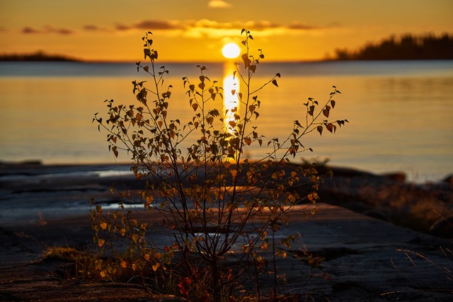 Viltrox 56mm f1.2_2w.jpg