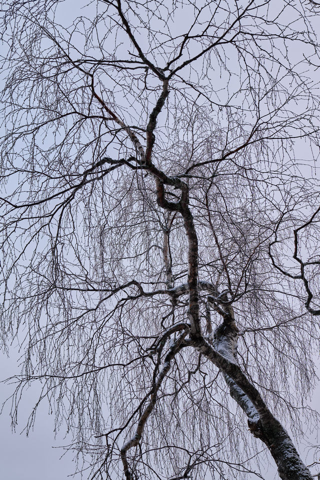 Panasonic S1 II_29w.jpg