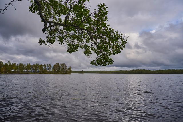 Viltrox 15mm f1.7_15w.jpg