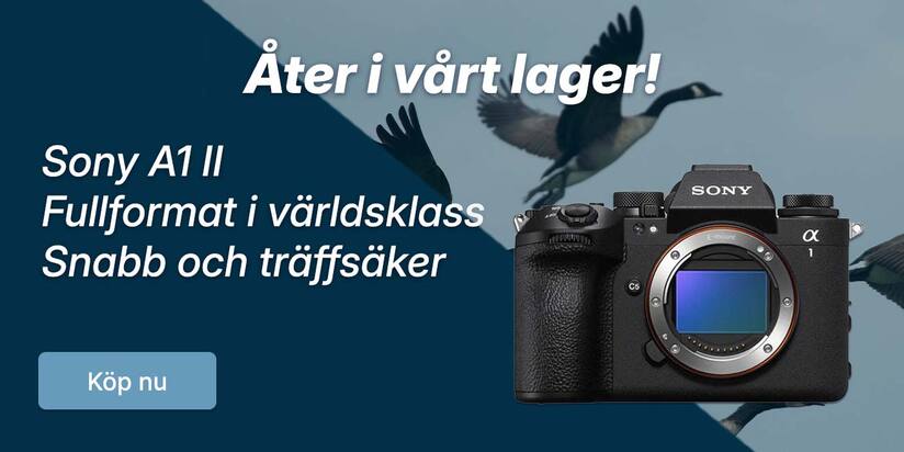Åter_lager_A1II_2--knapp.jpg