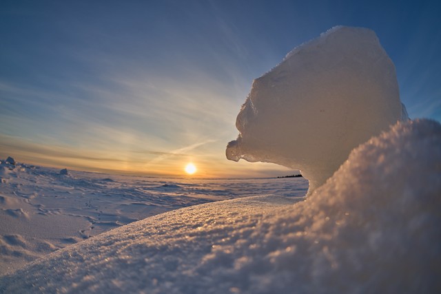 Canon RF 7-14mm_22w.jpg