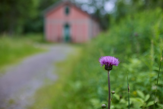Canon RF 45mm f1.2 STM_27w.jpg