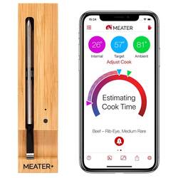 Plus stektermometer