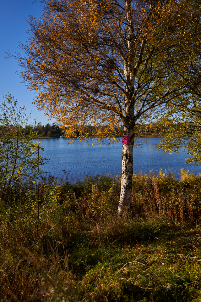 Sigma 24mm f1.4 DN_20w.jpg