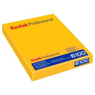 Ektachrome E100 4X5 - 10-pack