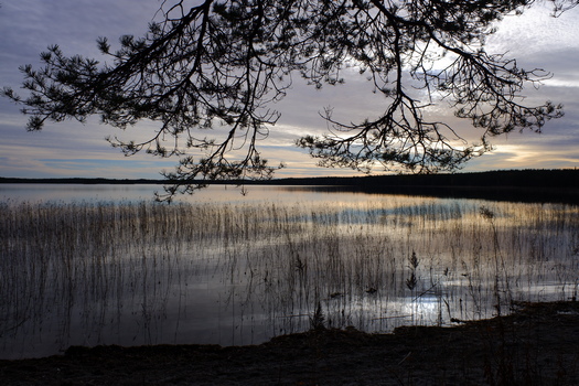 DSCF0311w.jpg