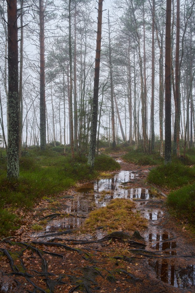 Sigma 35mm f1.2 II_12w.jpg