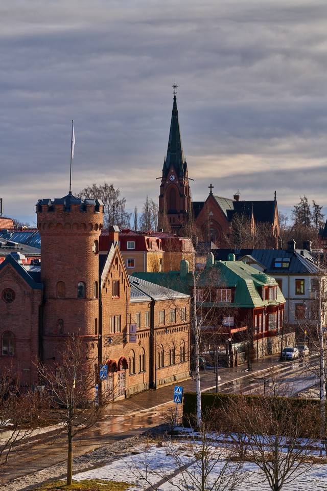 Sony 100mm f2.8 Macro_18w.jpg