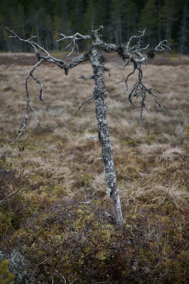 Viltrox 25mm f1.7_5w.jpg