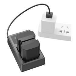 3824 NP-FZ100 Battery & Charger Kit