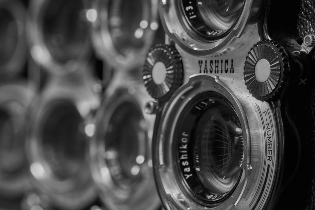 Laowa 180mm f4.5 Macro_22w.jpg