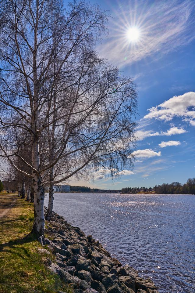 Sony FE 24-70 f2.8 GM II_27w.jpg