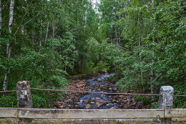 Sony RX1R III_18w.jpg