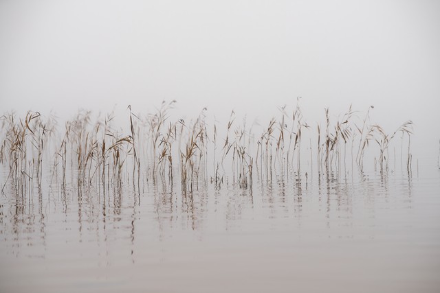 Sigma 135mm f1.4_10w.jpg