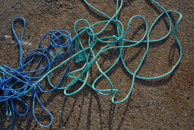 Nikon Z 24-70mm f2.8 II_27w.jpg