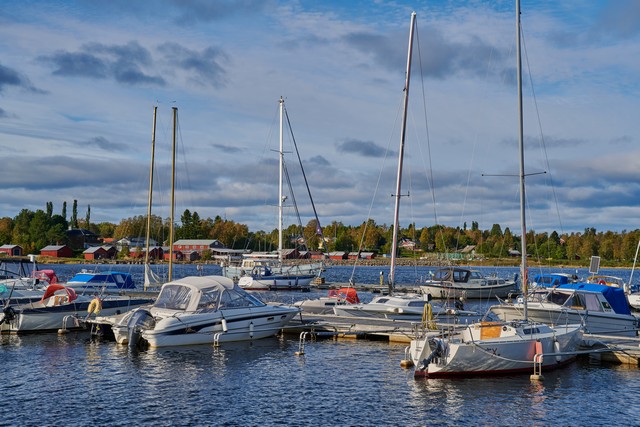 Nikon Z 24-70mm f2.8 II_18w.jpg