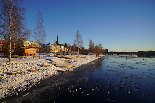 DSC05187f56w.jpg