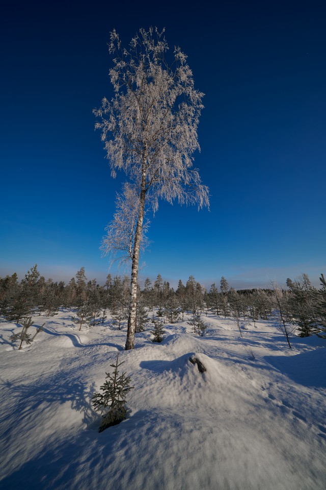 Laowa 10mm f2.8_25w.jpg