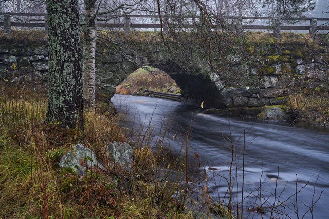 Sigma 35mm f1.2 II_2w.jpg