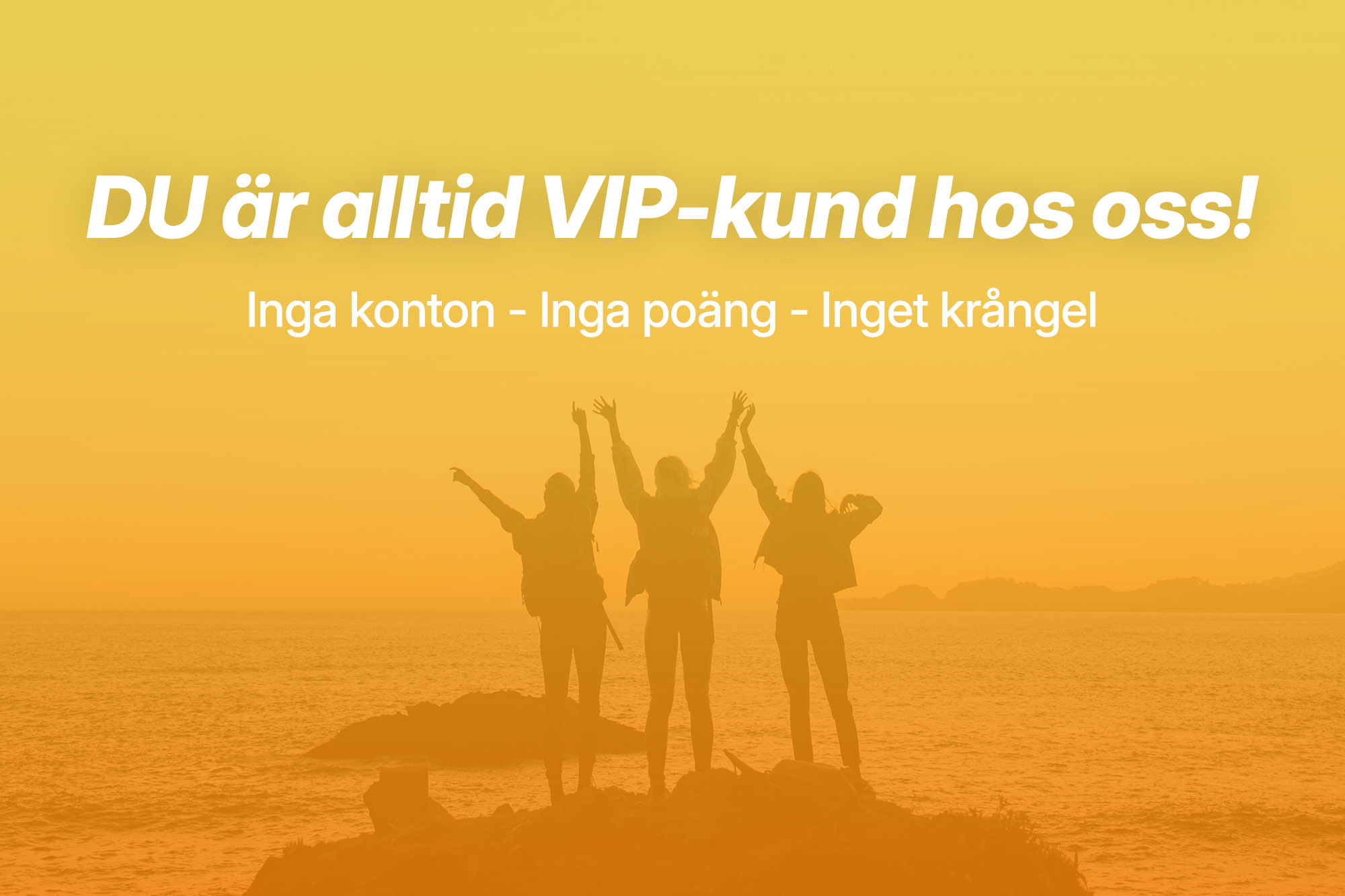 VIP_blogg1.jpg