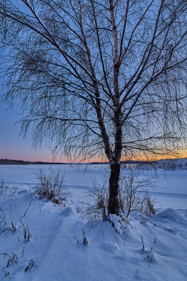 Canon RF 14mm f1.4L VCM_7w.jpg