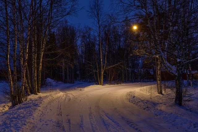 Panasonic S1 II_6w.jpg