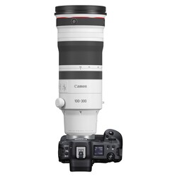 RF 100-300mm f/2,8 L IS USM (fullformat)