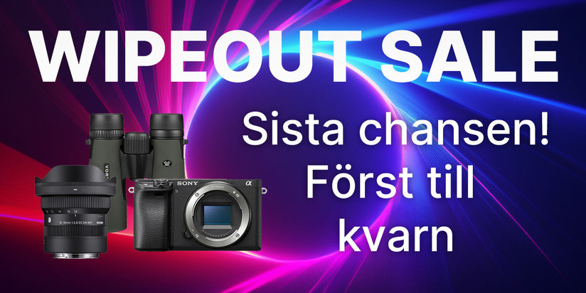 wipeoutsale_front_2.jpg