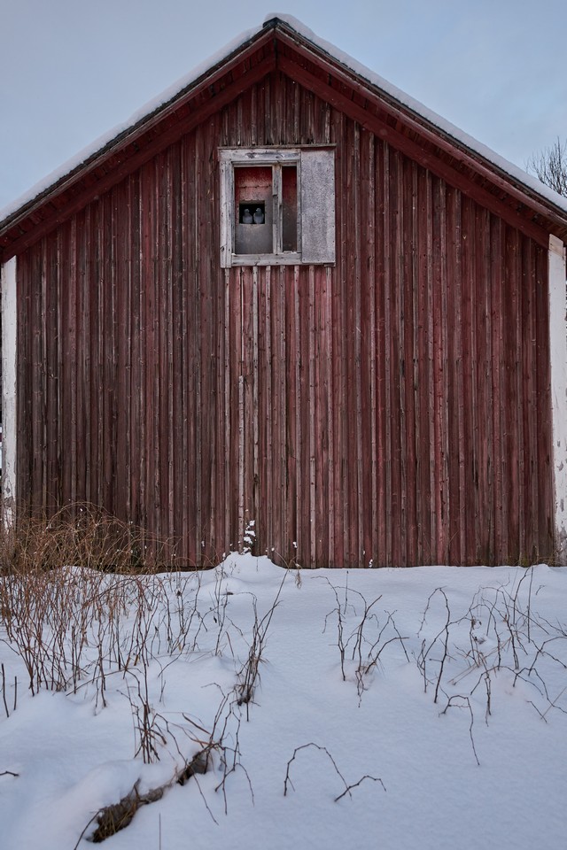 Sigma 15mm f1.4 DC_22w.jpg