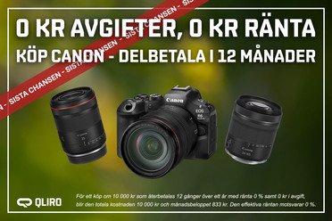 Canon_Qliro_12man_blogg_sistachansen_grön.jpg