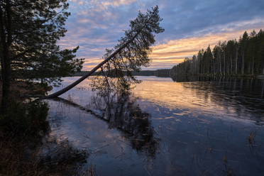 Canon EOS R6 Mark III_blogg1.jpg