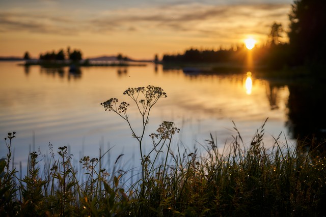 Sony FE 55mm f1.8_27w.jpg