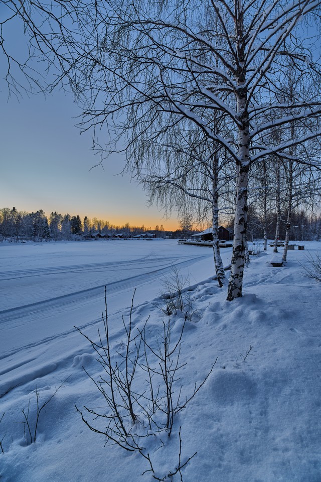 Canon RF 14mm f1.4L VCM_5w.jpg