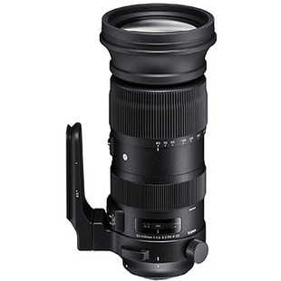 60-600mm f/4,5-6,3 DG OS HSM Sports, till Nikon F