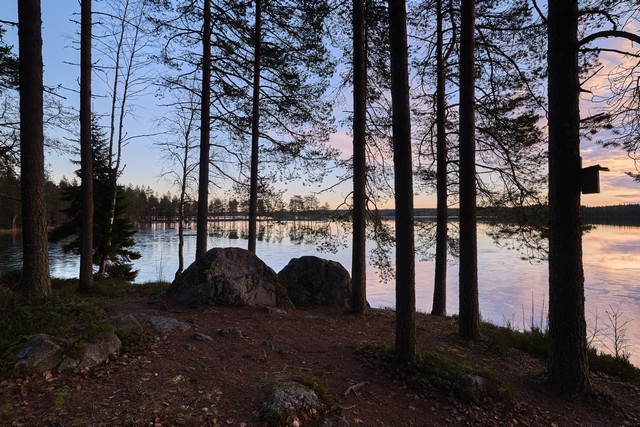 Canon EOS R6 Mark III_8w.jpg