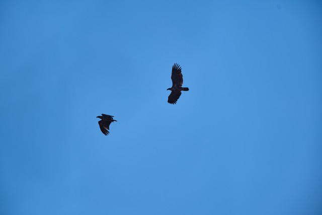 Panasonic S 100-400mm_13w.jpg