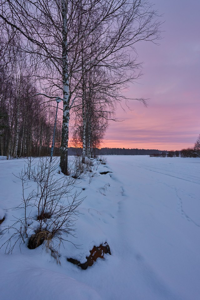 Sigma 15mm f1.4 DC_19w.jpg