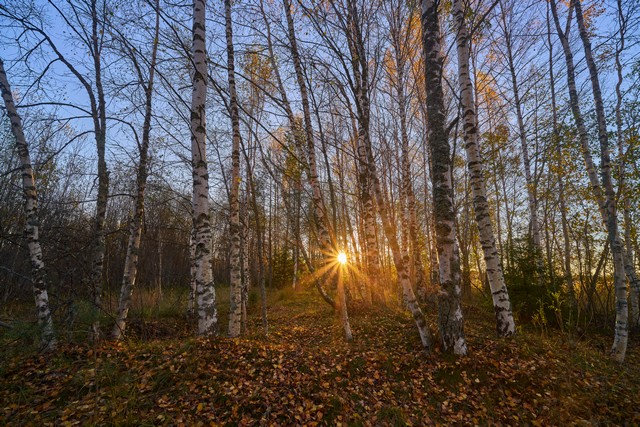 Viltrox 14mm f4_24w.jpg