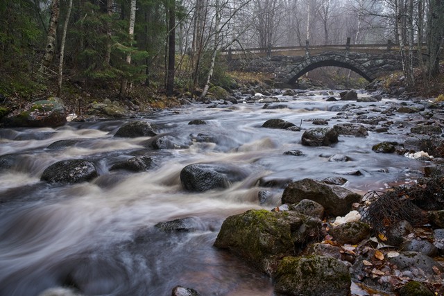 Sigma 35mm f1.2 II_7w.jpg