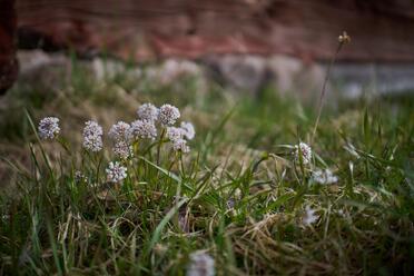 Viltrox 25mm f1.7_blogg1.jpg
