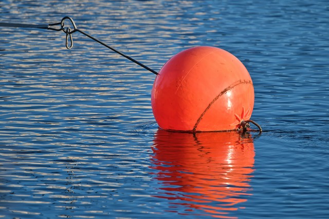 Fujifilm XF 400mm f4.5_7w.jpg