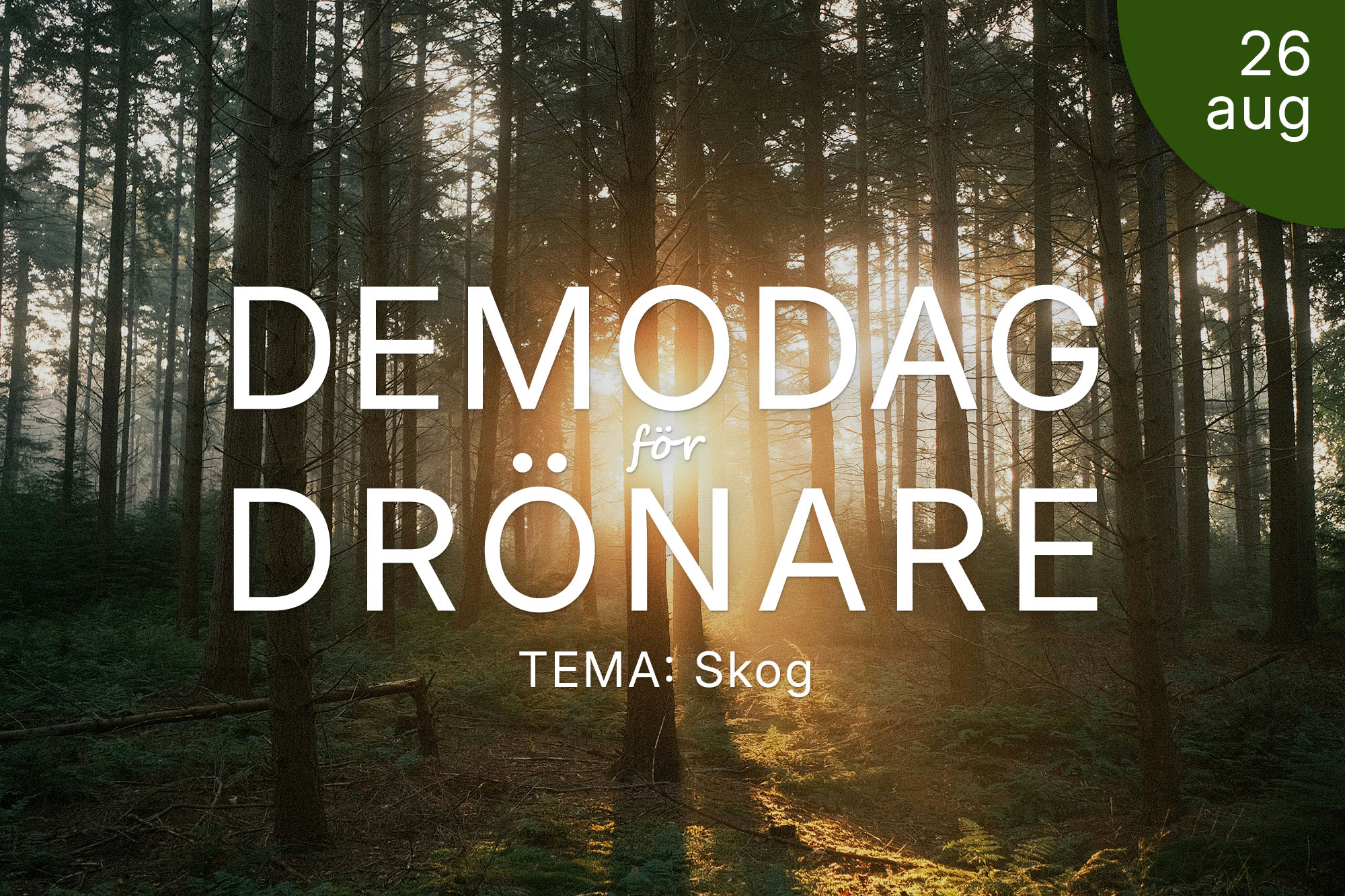 Demodagdrönare26Augusti_blogg.jpg