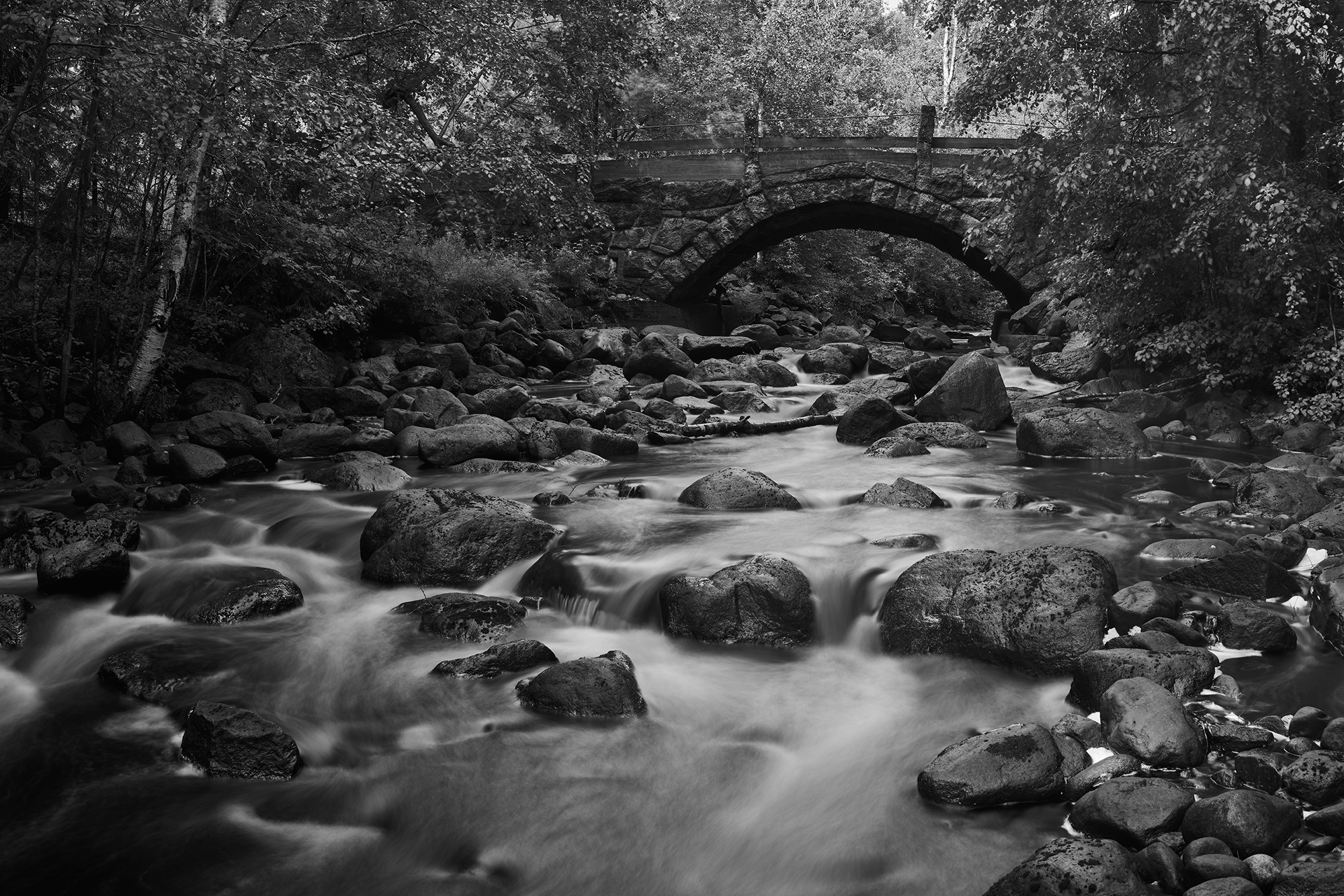 Canon RF 35mm f1.4 VCM_3.jpg