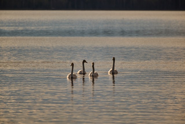Panasonic S 100-400mm_3w.jpg