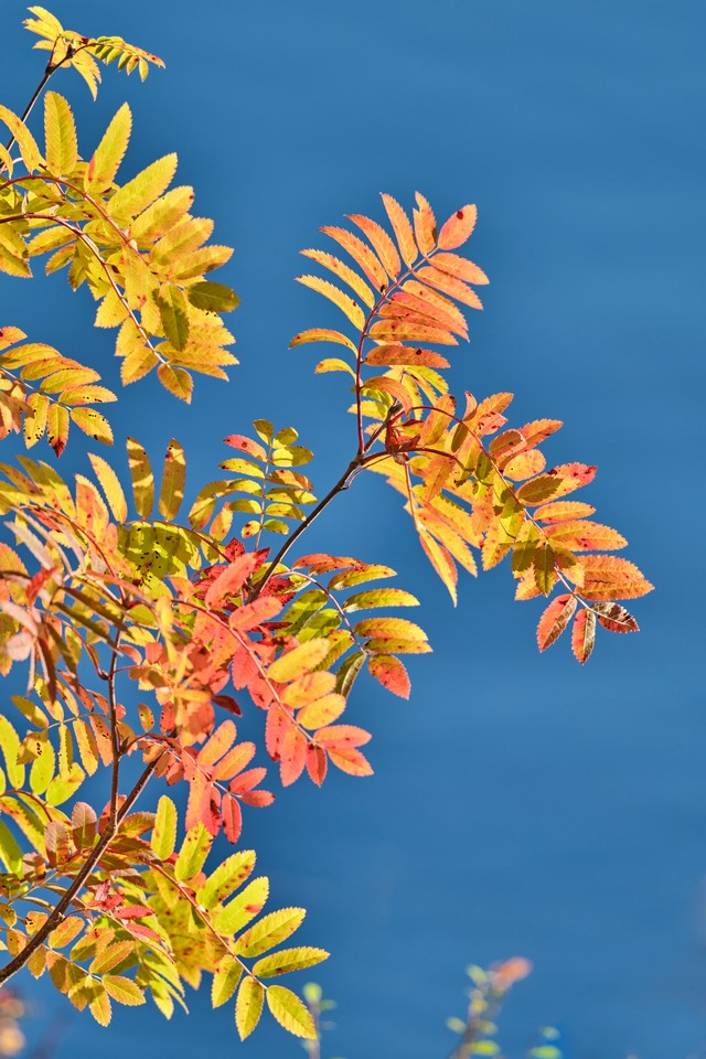 Fujifilm XF 400mm f4.5_10w.jpg