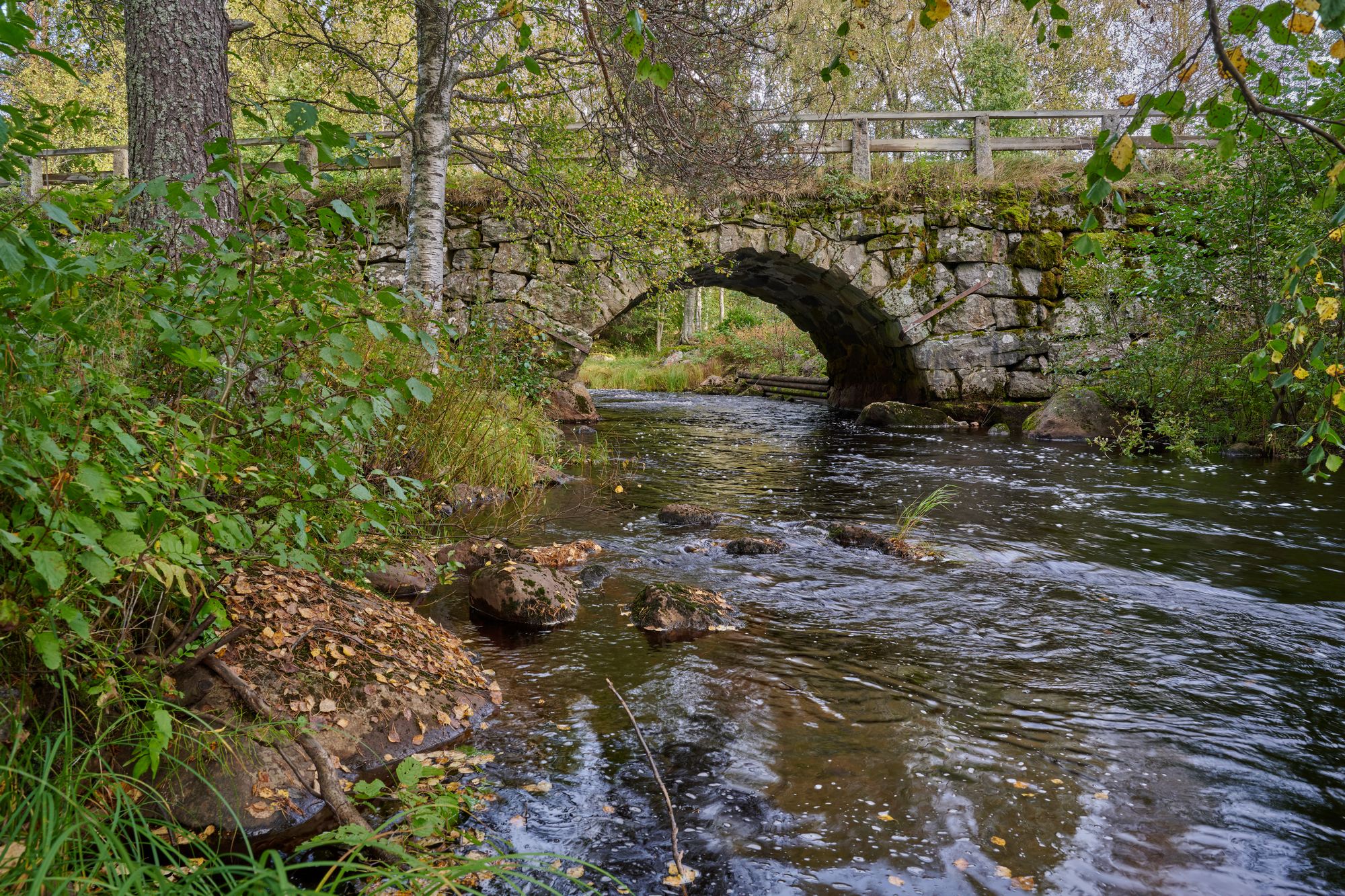 Nikon Z 24-70mm f2.8 II_blogg1.jpg