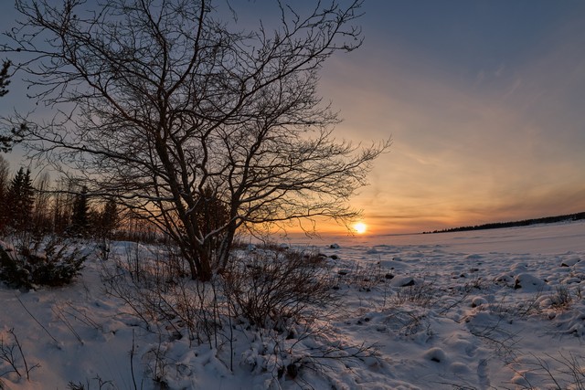 Canon RF 7-14mm_23w.jpg