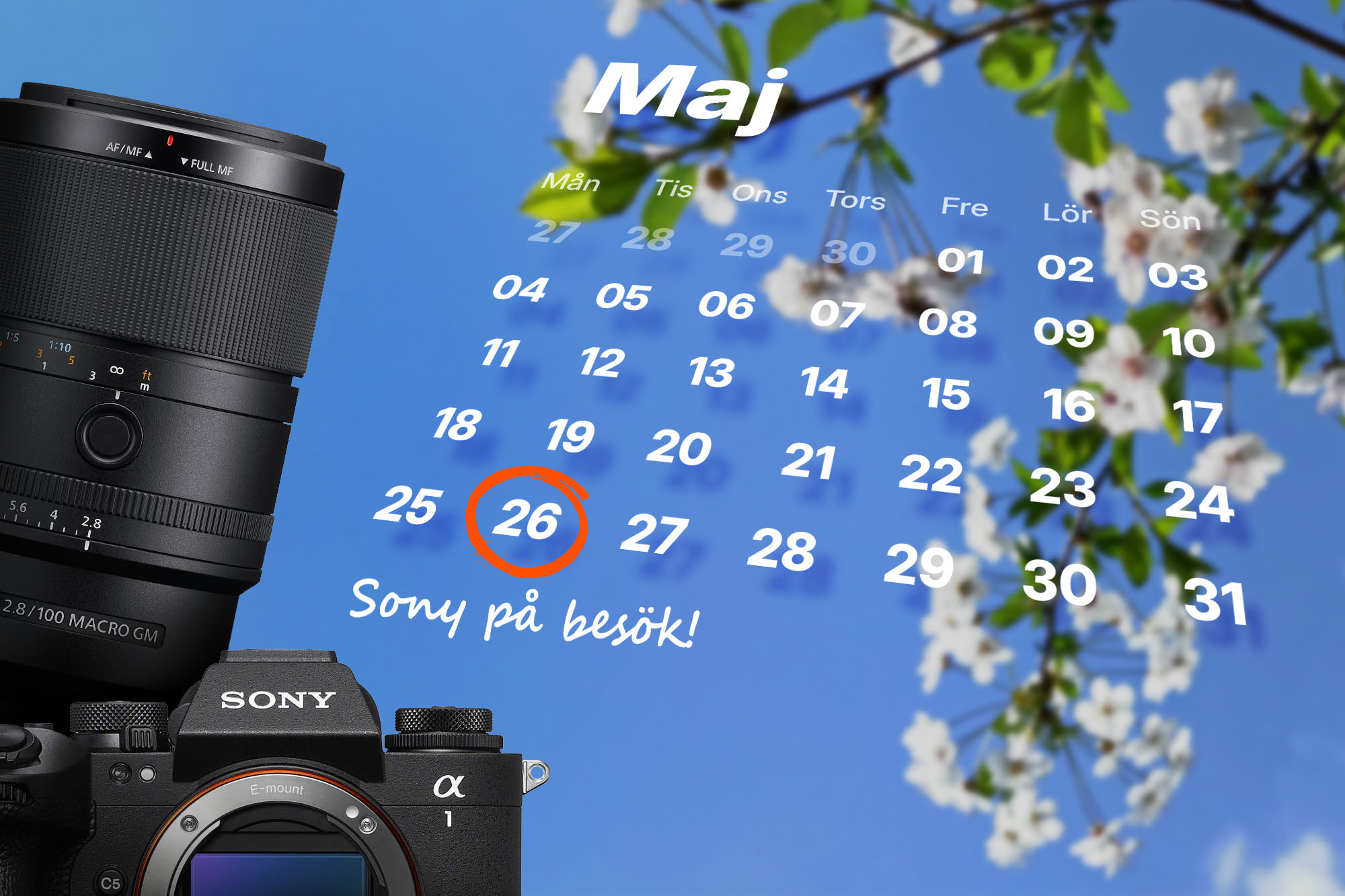 SonydagSommar2026_blogg.jpg