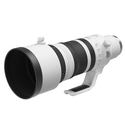 RF 100-300mm f/2,8 L IS USM (fullformat)